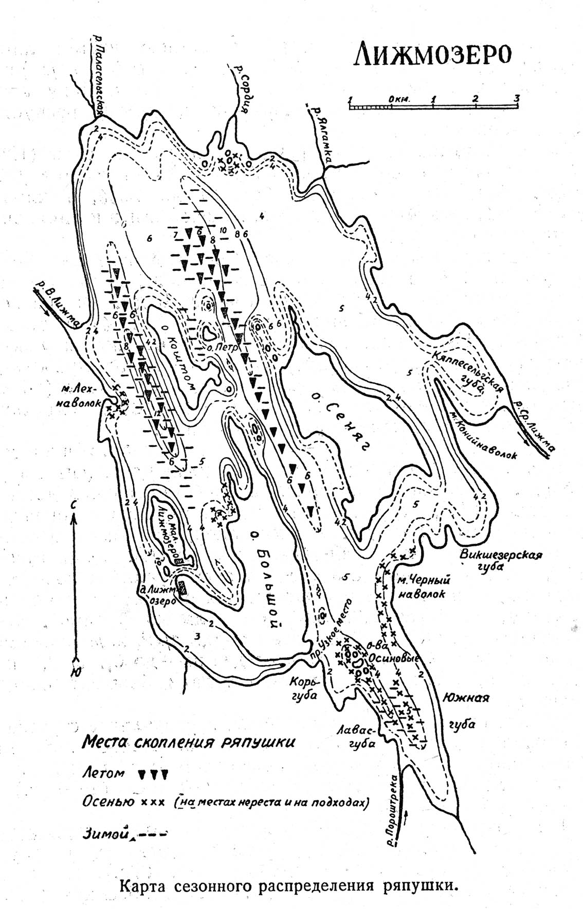 Озеро Лижмозеро. Карта сезонного распределения ряпушки