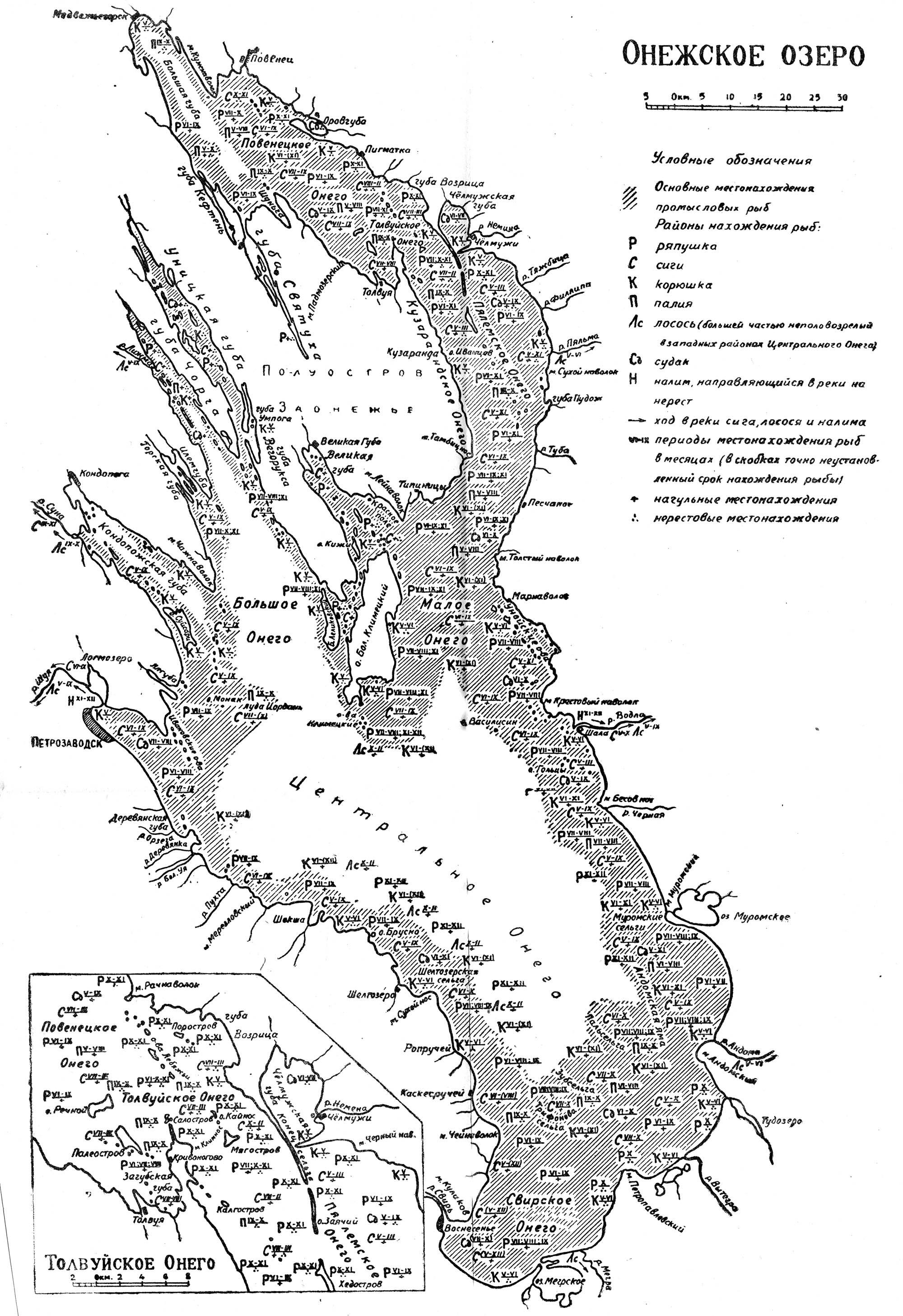 Части онежского озера. Карта глубин Онежского озера. Глубина Онежского озера. Глубинная карта Онежского озера. Карта схема Онежского озера.