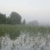 Утро туманное. Озеро Ведлозеро