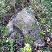 Камни-следовики окрестностей села Ведлозеро